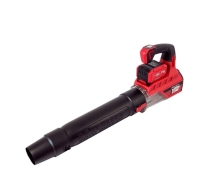 Воздуходувка акк.бесщет. №1 INDUSTRIAL CB40/3.0-PRO-B (20V,3.0Ач,2АКБ,З/У1,5А,3х скор+круиз-контр)