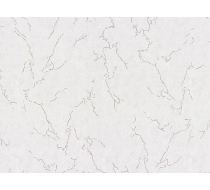 Обои 31192-24  Home Color 1,06х10м (ВВ ФО)