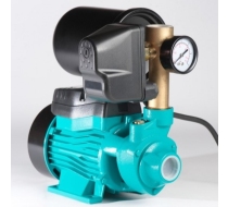 Насосная мини-станция WZ400 0.4кВт TM Rona бак 2л, лат.пятерник, РМ-5
