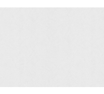 Обои 405-01 Home Color 1,06х25м (ВВ ФО)