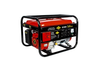 Генератор бенз. DDE G300 (2.8/3.0кВт) 919-969