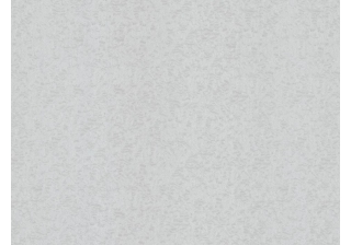 Обои 70541-41 1,06х10м ВВ ГТ ФО Аспект