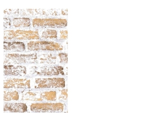 Панель стеновая ПВХ  0,25х3,0м  615/1  (Крымск)