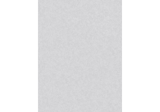 Обои 10140-46  0,53х10м ВВ БО АСПЕКТ