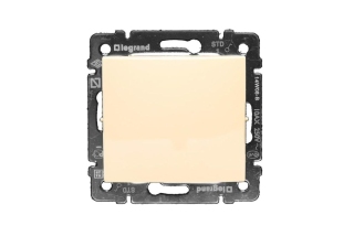 Переключатель Legrand Cariva сл. кость 1 - клавишный мех-зм, 10А /773757/