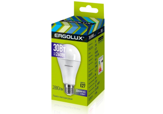 Лампа светодиодная «Ergolux» LED А70  30W, 260Вт (Е27) 6500К (10/10/100шт)/14230/890585