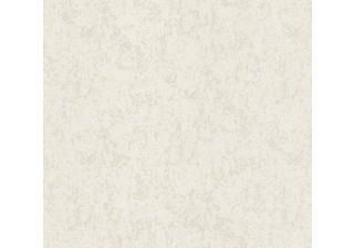 Обои 70320-22 1,06х10м ВВ ГТ ФО Аспект