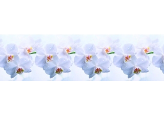 Кухонный фартук Голубая Орхидея ЛДП 3000*600*1,5мм