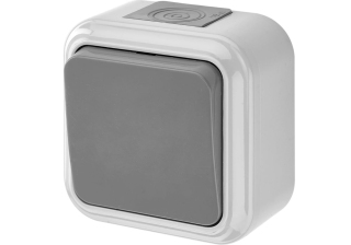 Выключатель 1кл о/у серый IP54 Пралеска Беларусь А16-222