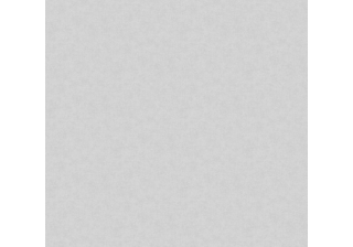 Обои 70670-41 1,06х10м ВВ ГТ ФО Аспект