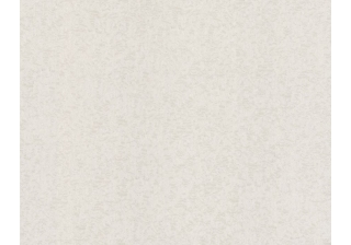 Обои 70541-12 1,06х10м ВВ ГТ ФО Аспект