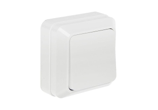 Выключатель IN HOME Bolleto 1кл о/у белый IP20 /7021-W/