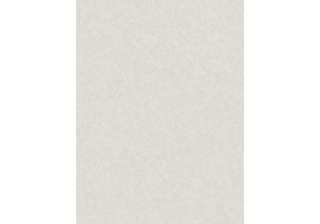 Обои 10140-21  0,53х10м ВВ БО АСПЕКТ