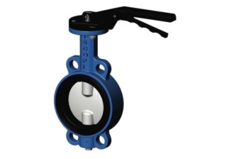 Затвор Ру 10 Ду 100