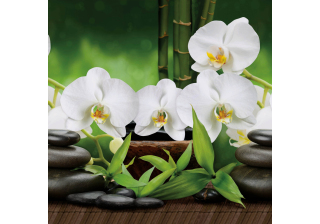 Кухонный фартук Белая Орхидея ЛДП 3000*600*1,5мм