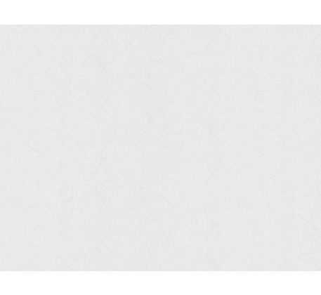 Обои 405-01 Home Color 1,06х25м (ВВ ФО) фото 1